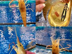 -SHRIMP CLUB万东餐饮钓虾·清吧