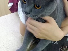 -美联众合动物医院·24h转诊中心