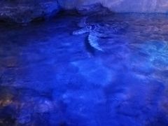 -大连圣亚海洋世界