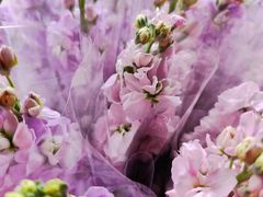 -公平路渡口(轮渡站)