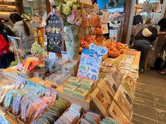 -猫的天空之城概念书店(苏州平江店)