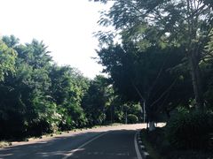 -五缘湾湿地公园