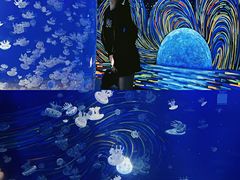 -欢乐海岸海洋奇梦馆