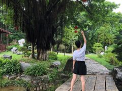 -东莞植物园