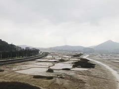 -北岐滩涂