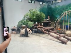 -杭州动物园