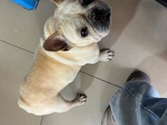 -陈氏老字号十三小炸炸店