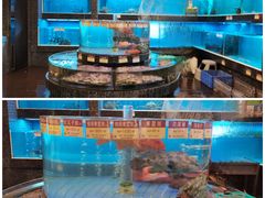 海鲜池-金悦轩海鲜城(渔人码头店)