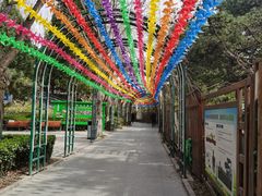 -黄村公园