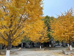 -辽宁大学(崇山校区)