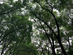 -爆炸头阿姨小四川正宗川味小吃(无任何分店)