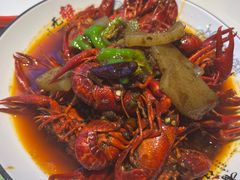 -堕落小龙虾(兰州旗舰店)