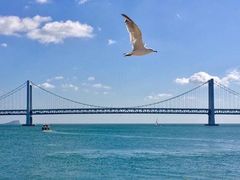 -星海湾跨海大桥