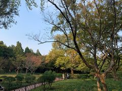 -八大关景区