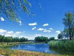 -大兴滨河森林公园