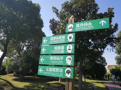-荷塘月色湿地公园·向阳花洲