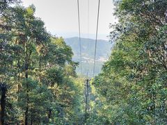 -广州市帽峰山景区