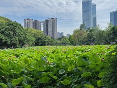 -西南交通大学(九里校区)