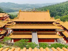 -东莞市大岭山森林公园