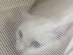 -瑞鹏宠物医院·普外科·影像科·皮肤科(城市山谷分院)