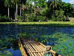 -中国科学院西双版纳热带植物园