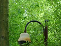 -都江堰普照寺