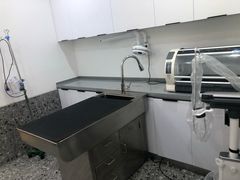 -萌兽医馆·绝育·24小时内科·宠物医院(德胜店)