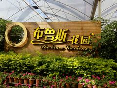-广东花都香草世界旅游度假区