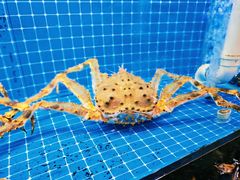 -醉壹号海鲜大排档(厦门美食地标店)