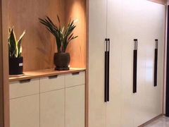-索菲亚衣柜橱柜全屋定制(真北红星店)