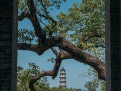 -江心屿景区