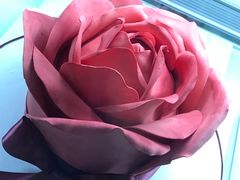 -柏尼娅PEARIA·蛋糕定制(静安店)