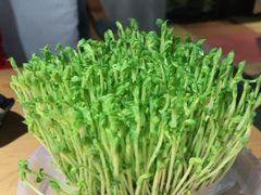 -洪氏嗨捞·广东猪肚鸡·椰子鸡火锅(西咸万象城店)