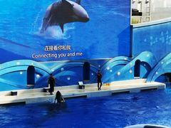 景点-上海海昌海洋公园