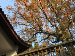 -溪口-滕头旅游景区