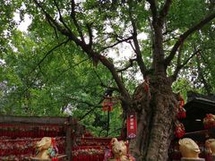 -成都武侯祠博物馆