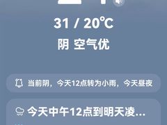 -四海游龙(大华店)