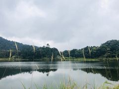 -海南热带雨林国家公园吊罗山景区