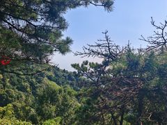 -青龙山景区