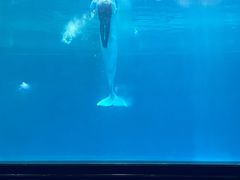 -石林冰雪海洋世界