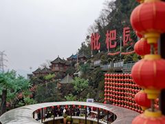 -枇杷园食为鲜火锅(南山店)