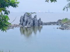 -上海吴淞炮台湾国家湿地公园