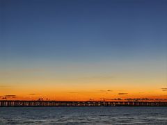 -宝安西湾红树林湿地公园