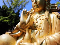 -武陵山森林公园