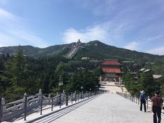 -龙口南山旅游景区