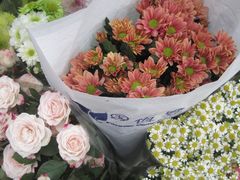 -循礼门鲜花花市(武汉循礼门店)