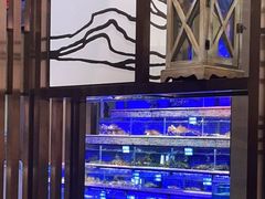 -青蓬蒸汽海鲜·深圳老字号·团建聚会(壹方城店)