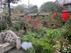 -青城甲(青城山店)