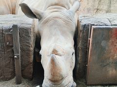 -杭州野生动物世界