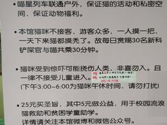 -猫咪博物馆(顶澳仔猫街店)